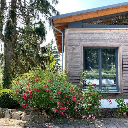 Balthasar Ress Guesthouse Am Rebhang Im Rheingau Естріх-Вінкель Екстер'єр фото
