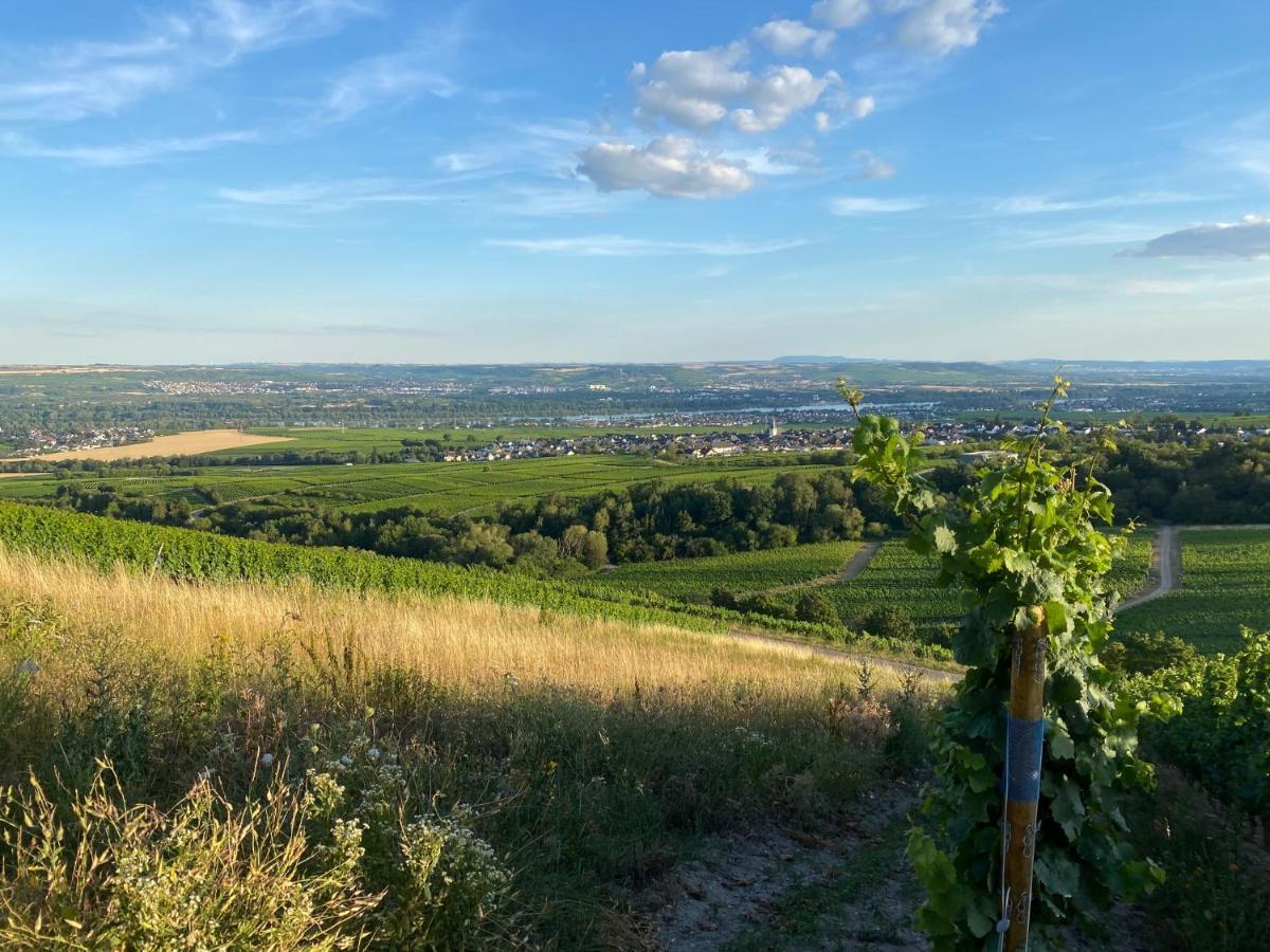 Balthasar Ress Guesthouse Am Rebhang Im Rheingau Естріх-Вінкель Екстер'єр фото